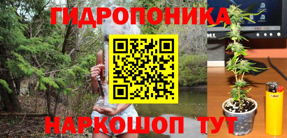 Конопля SATIVA & INDICA Зима